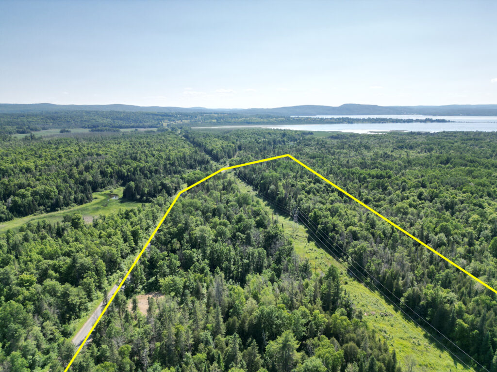 Residential Development Land in Calabogie ON For Sale