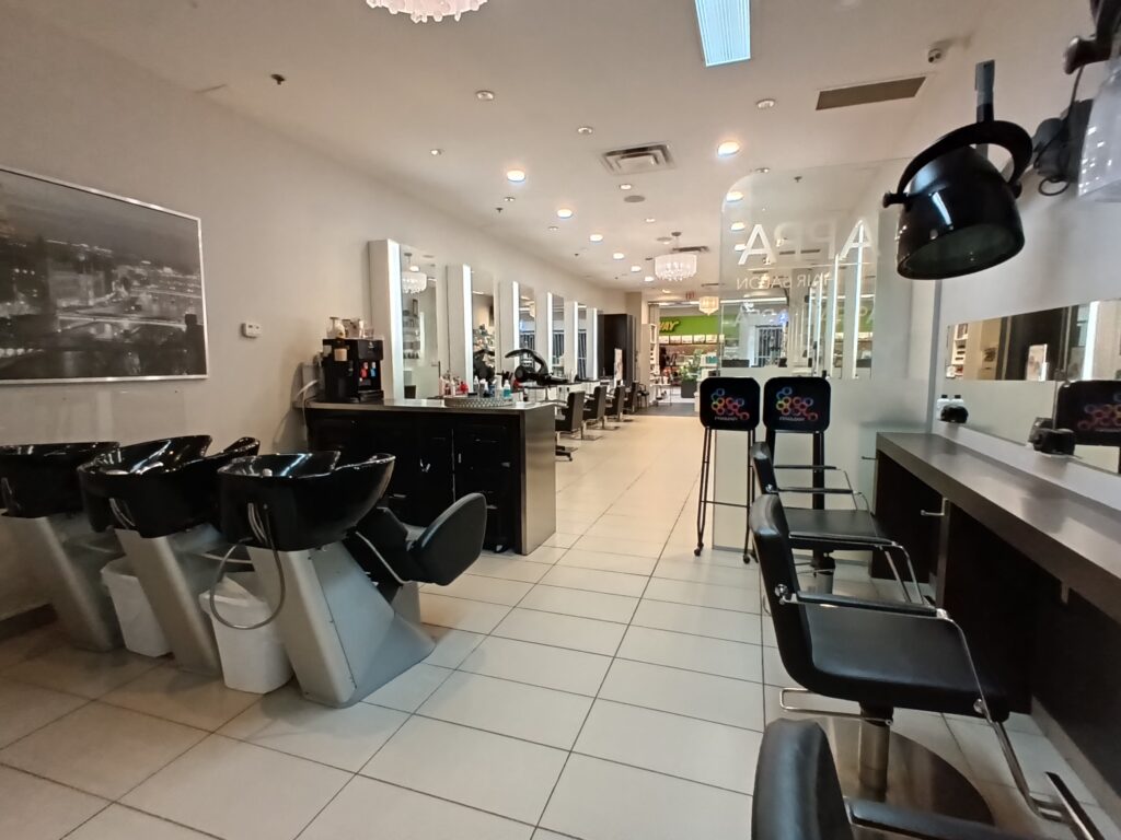 Ottawa Hair Salons For Sale